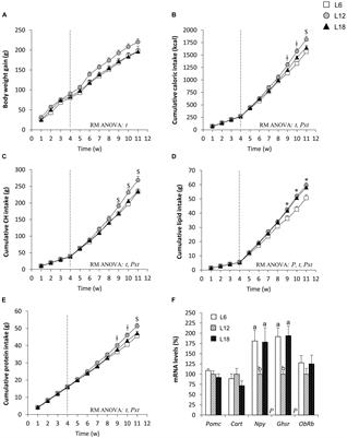 Intake of an Obesogenic Cafeteria Diet Affects Body Weight, Feeding Behavior, and Glucose and Lipid Metabolism in a Photoperiod-Dependent Manner in F344 Rats